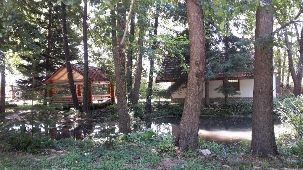 Hotel Holiday Park Ranchoto à Kirkovo  Extérieur photo